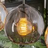 Koyoto Lámparas suspendidas, Luminarias esféricas, Lámparas colgantes Colores ámbar, Ahumado, 4 luces