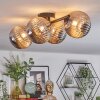 Chehalis Plafones, Luminarias esféricas Ahumado, 4 luces