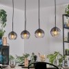 Koyoto Lámparas suspendidas, Luminarias esféricas, Lámparas colgantes Transparente, Ahumado, 4 luces