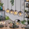 Koyoto Lámparas suspendidas, Luminarias esféricas, Lámparas colgantes Colores ámbar, Transparente, Ahumado, 4 luces