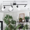Fallhagen Plafones, Spot techo Negro, 4 luces