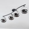 Koyoto Plafones, Luminarias esféricas Cromo, Ahumado, 4 luces