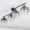Koyoto Plafones, Luminarias esféricas Transparente, Ahumado, 4 luces