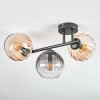 Koyoto Plafones, Luminarias esféricas Colores ámbar, Transparente, Ahumado, 3 luces