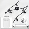 Fallhagen Plafones, Spot techo Negro, 6 luces