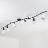 Fallhagen Plafones, Spot techo Negro, 6 luces
