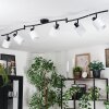 Fallhagen Plafones, Spot techo Negro, 6 luces