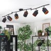 Fallhagen Plafones, Spot techo Negro, 6 luces
