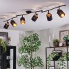 Fallhagen Plafones, Spot techo Negro, 6 luces