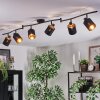 Fallhagen Plafones, Spot techo Negro, 6 luces