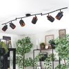 Fallhagen Plafones, Spot techo Negro, 6 luces