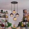 Koyoto Lámparas suspendidas, Luminarias esféricas, Lámparas colgantes Colores ámbar, Transparente, Ahumado, 4 luces
