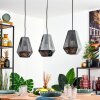 Duren Lámparas suspendidas, Lámparas colgantes Negro, 3 luces