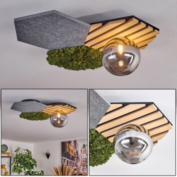 Minor Plafones, Luminarias esféricas Verde, Color madera, Negro, 1 luz