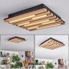 Vorlix Plafones LED Color madera, Negro, 1 luz