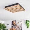 Vorlix Plafones LED Color madera, Negro, 1 luz