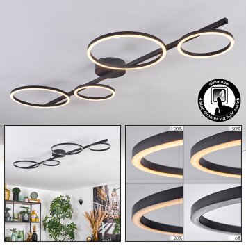 Firon Plafones LED Negro, 1 luz