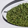 Dorel Plafones LED Verde, Blanca, 1 luz
