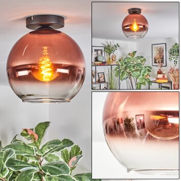 Koyoto Plafones, Luminarias esféricas Transparente, Color cobre, 1 luz