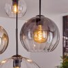 Koyoto Lámparas suspendidas, Luminarias esféricas, Lámparas colgantes Colores ámbar, Transparente, Ahumado, 4 luces