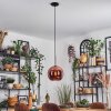 Koyoto Lámparas suspendidas, Luminarias esféricas, Lámparas colgantes Color cobre, 1 luz