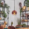 Koyoto Lámparas suspendidas, Luminarias esféricas, Lámparas colgantes Transparente, Color cobre, 1 luz