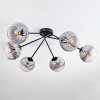 Koyoto Plafones, Luminarias esféricas 77.5 cm Transparente, Ahumado, 6 luces