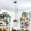 Koyoto Lámparas suspendidas, Luminarias esféricas, Lámparas colgantes 25 cm Verde, Transparente, 1 luz