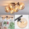 Chehalis Plafones, Luminarias esféricas Colores ámbar, 5 luces