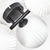 Chehalis Plafones, Luminarias esféricas Blanca, 5 luces