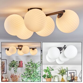 Chehalis Plafones, Luminarias esféricas Blanca, 5 luces