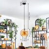 Koyoto Lámparas suspendidas, Luminarias esféricas, Lámparas colgantes Colores ámbar, 1 luz