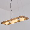 Zanin Lámparas suspendidas, Lámparas colgantes Crudo, Negro, 4 luces