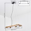 Zanin Lámparas suspendidas, Lámparas colgantes Crudo, Negro, 4 luces