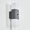 Felor Aplique de exterior, Lámpara Up & Down, Apliques LED Antracita, 2 luces, Sensor de movimiento