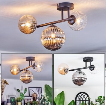 Chehalis Plafones, Luminarias esféricas Colores ámbar, Transparente, Ahumado, 3 luces