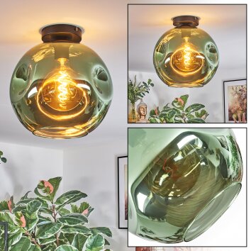 Ripoll Plafones, Luminarias esféricas Verde, 1 luz