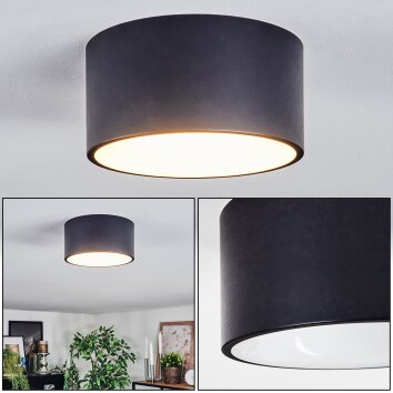 Falor Plafones LED blanco mate, 1 luz