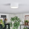 Falor Plafones LED Blanca, 1 luz