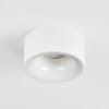 Falor Plafones LED Blanca, 1 luz
