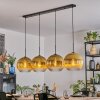 Koyoto Lámparas suspendidas, Luminarias esféricas, Lámparas colgantes dorado, Transparente, 4 luces