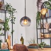 Koyoto Lámparas suspendidas, Luminarias esféricas, Lámparas colgantes Transparente, Ahumado, 1 luz