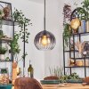 Koyoto Lámparas suspendidas, Luminarias esféricas, Lámparas colgantes Transparente, Ahumado, 1 luz