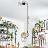 Koyoto Lámparas suspendidas, Luminarias esféricas, Lámparas colgantes Colores ámbar, Transparente, 1 luz