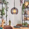 Koyoto Lámparas suspendidas, Luminarias esféricas, Lámparas colgantes Ahumado, 1 luz