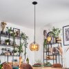 Koyoto Lámparas suspendidas, Luminarias esféricas, Lámparas colgantes Colores ámbar, 1 luz