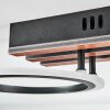 Galen Plafones LED Color madera, Negro, 1 luz