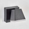 Fanel Aplique de exterior, Apliques, Spot de pared LED Antracita, 1 luz