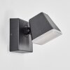 Fanel Aplique de exterior, Apliques, Spot de pared LED Antracita, 1 luz