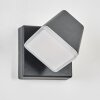 Fanel Aplique de exterior, Apliques, Spot de pared LED Antracita, 1 luz